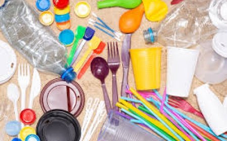 Nueva Ley de Plásticos de un Solo Uso: Un Paso Hacia la Sostenibilidad