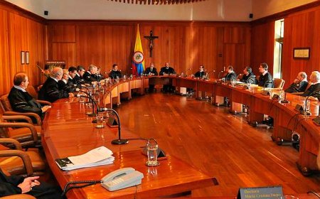 El Consejo de Estado insta al Gobierno a reglamentar el derecho al trabajo para personas con discapacidad.