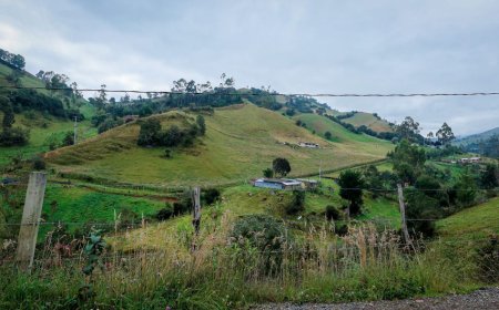 Política de Vivienda Rural: Un Paso hacia la Equidad Territorial