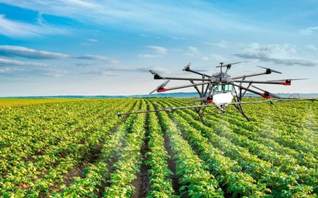 Innovación Agrícola: El Futuro de la Producción en Colombia