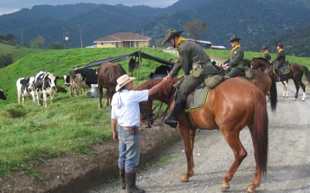 Fortalecimiento de la Seguridad Rural: Combate al Microtráfico y al Crimen Organizado