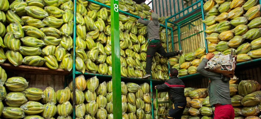 Comercio Exterior: Nuevos Mercados para Productos Colombianos