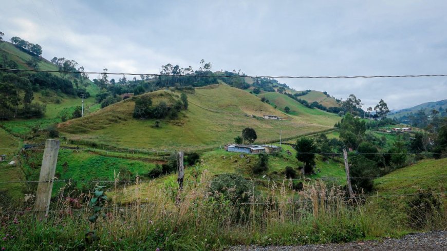 Política de Vivienda Rural: Un Paso hacia la Equidad Territorial