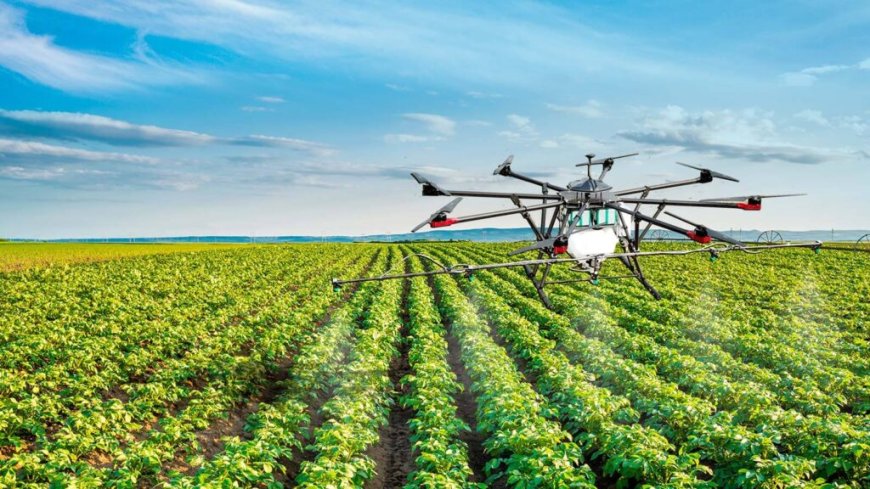 Innovación Agrícola: El Futuro de la Producción en Colombia