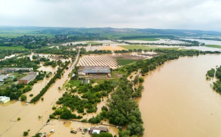Cambio Climático Global: Compromisos de Colombia tras la Última Cumbre Climática Internacional