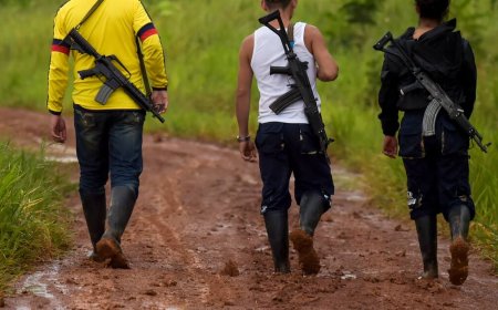 Ley de Amnistía para Menores Reclutados por Grupos Armados en Colombia: Un Paso hacia la Reintegración Social