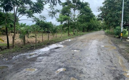 Colapso en la Infraestructura Vial del Chocó: Una Crisis Histórica que Exige Soluciones Urgentes