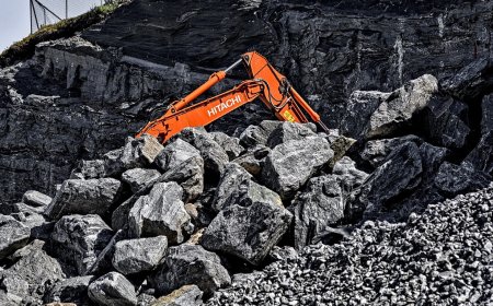 Nuevas restricciones a la minería en páramos: Un debate entre desarrollo y conservación