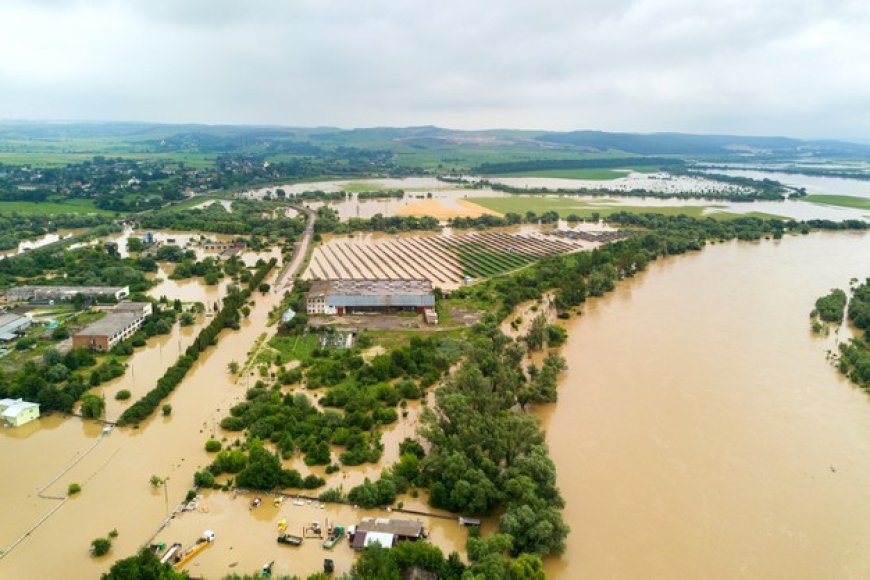 Cambio Climático Global: Compromisos de Colombia tras la Última Cumbre Climática Internacional