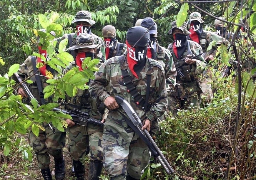 Crisis Humanitaria en el Catatumbo: Entre el Olvido Estatal y la Violencia Armada