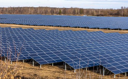 El Rol de los Parques Solares en Colombia: Energía en Tiempos de Sequía y el Futuro de las Comunidades Energéticas